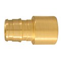 Apollo PEX-A 1/2 in. Expansion PEX in to X 1/2 in. D Female Sweat Brass Adapter EPXFS1212